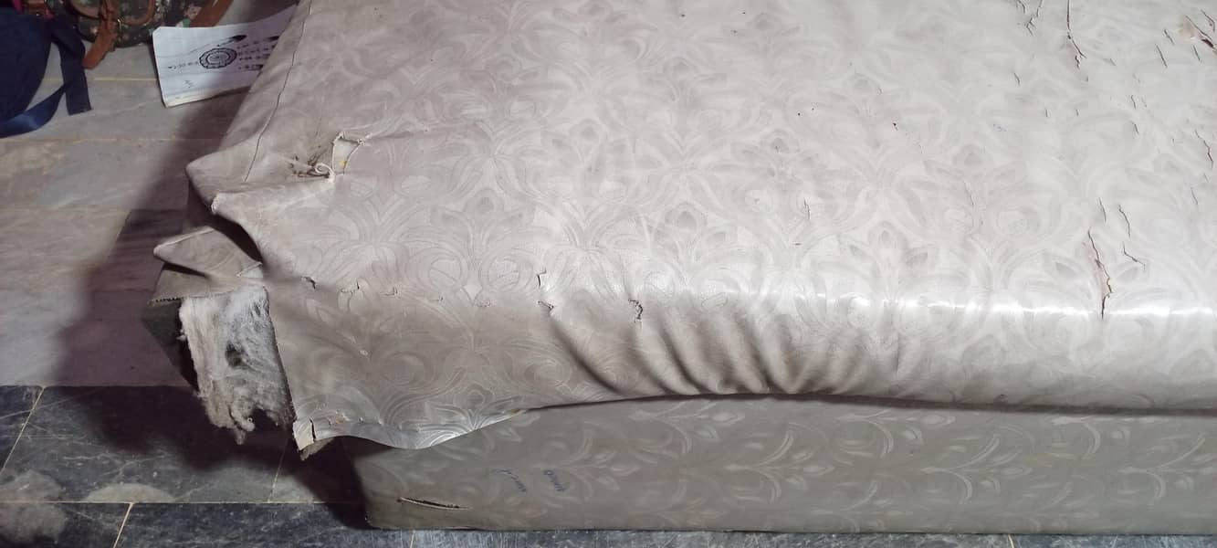 shofa 2