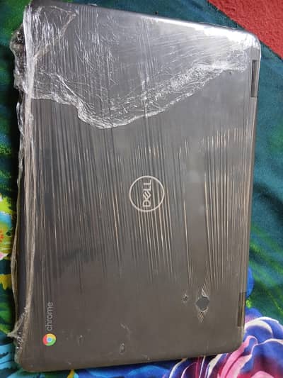 dell chromebook 3100