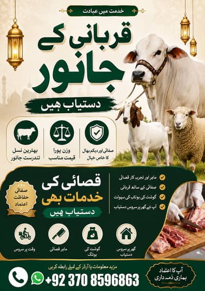 cow sale | qurbani janwar