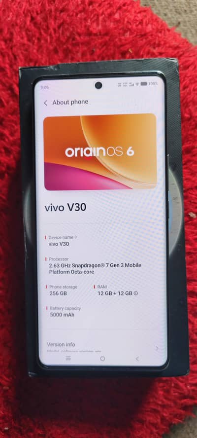 Vivo V30 5G 12+12/256