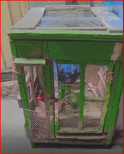 Strong cage Available Whatsapp Number:03004865196
