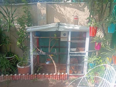 wooden cage with parrots