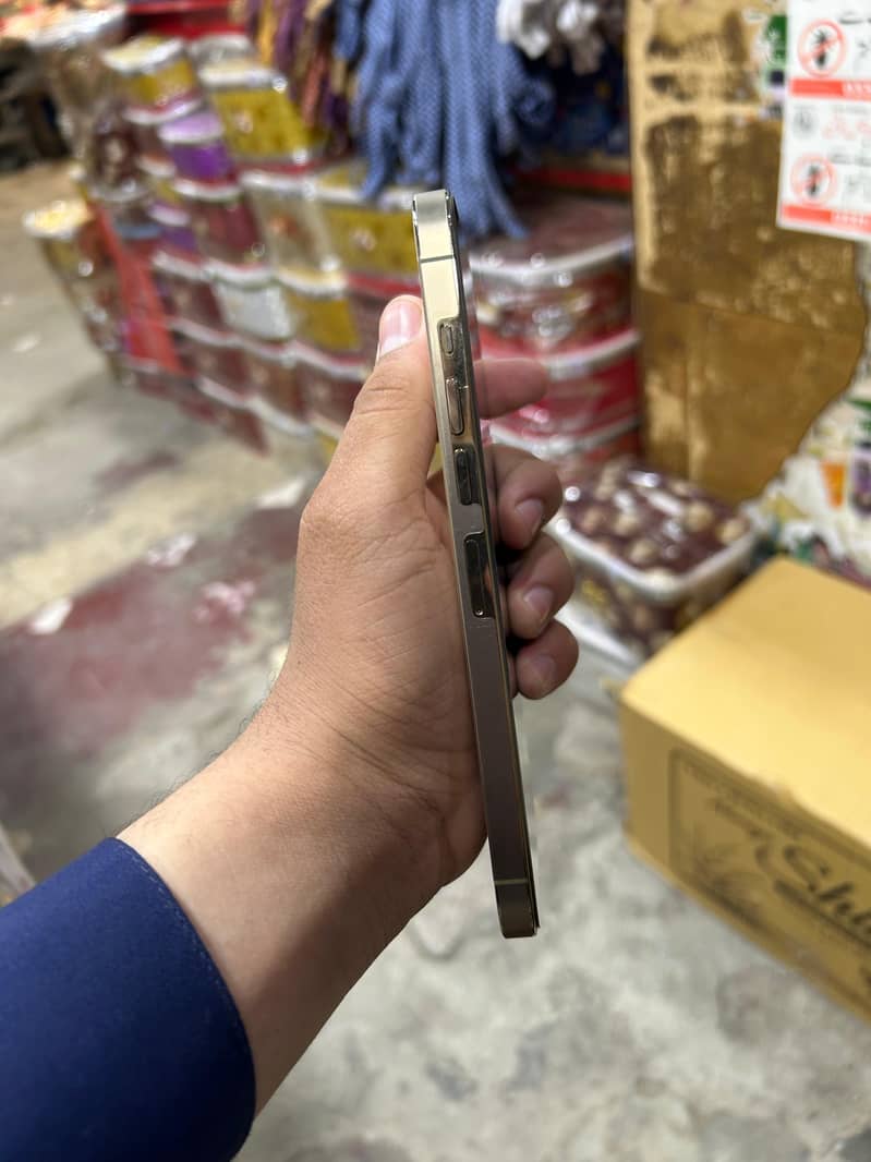 iphone 13 pro max 1