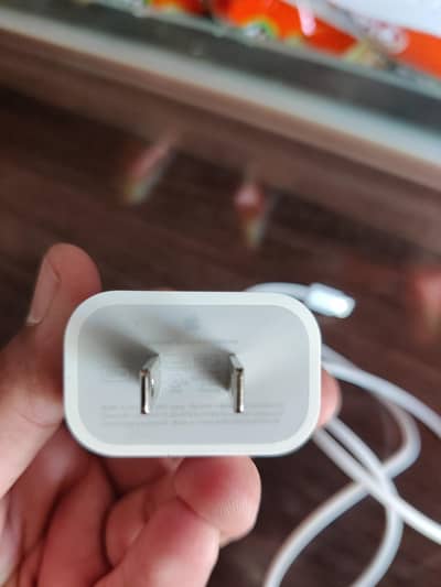 20 watt IOS charger with cable