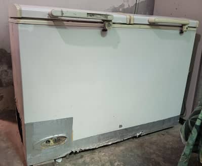 Deep Freezer Double Door