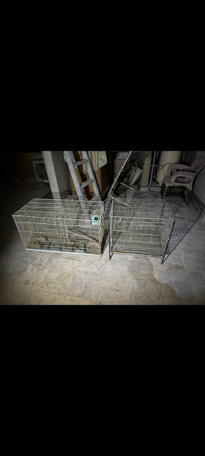Birds cages / iron cages/ Double portion single portionilable for sale
