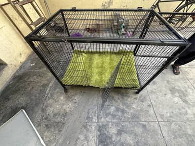 Animal Cage