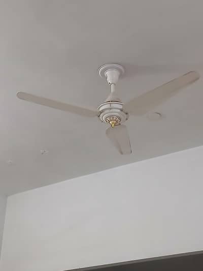 Ceiling Fans for sale