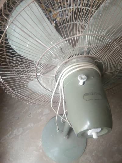 Genuine fan