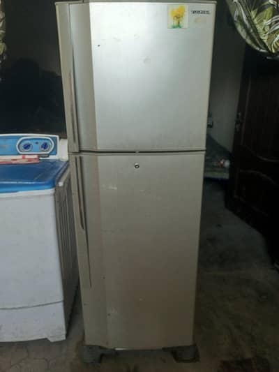 TOSHIBA FREDG