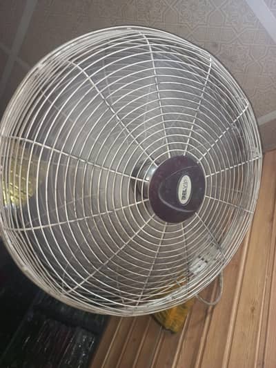 Belvin 2 Brakit Fan 220 waly for sale