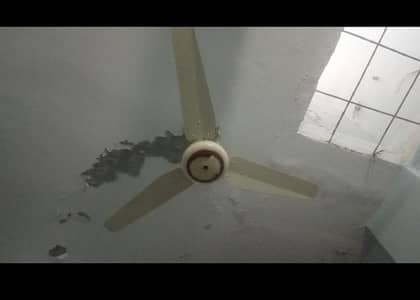 FAN PURE COPPER