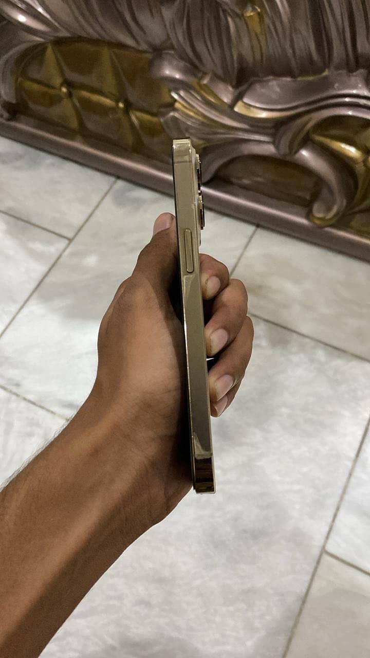 Iphone 13 pro 1