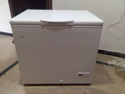 haier freezer single door