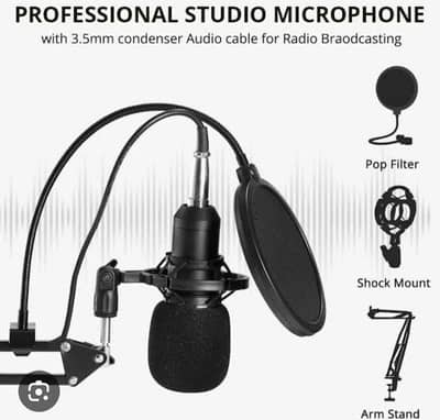 professional studio microphone