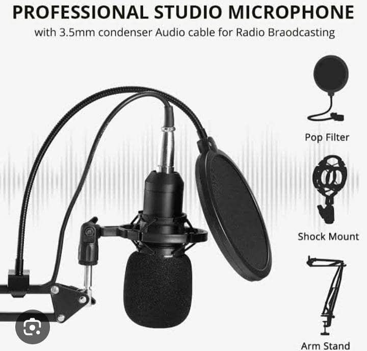professional studio microphone 0