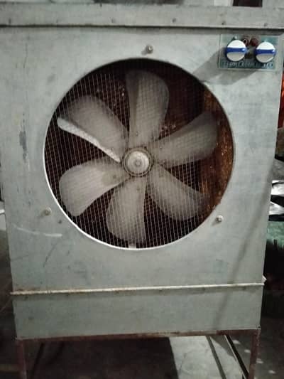 Lahori coolar