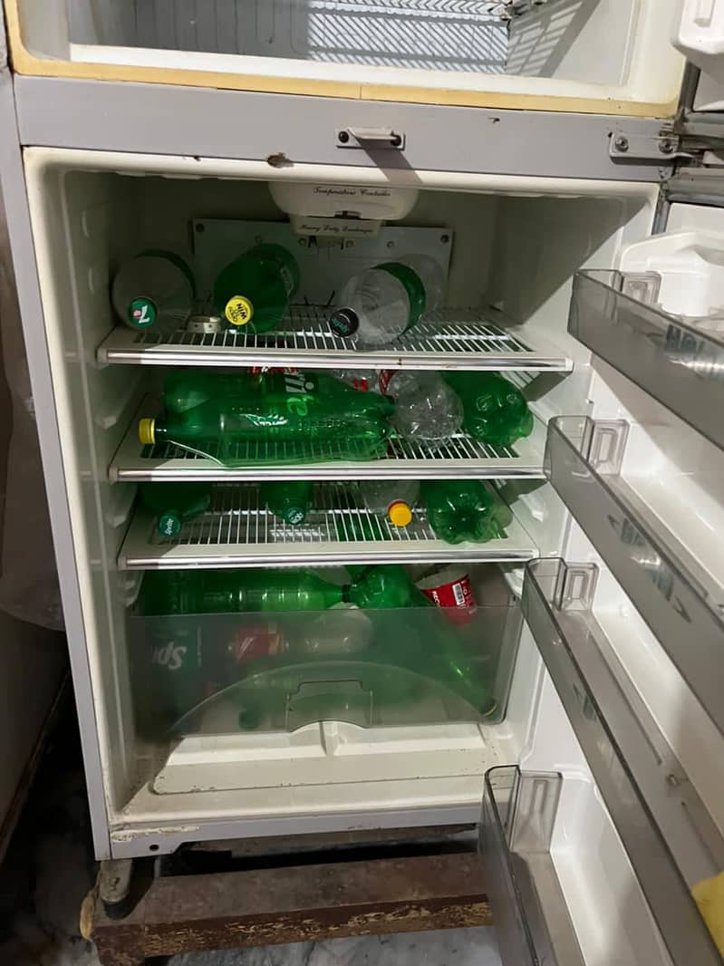 large size fridge 2