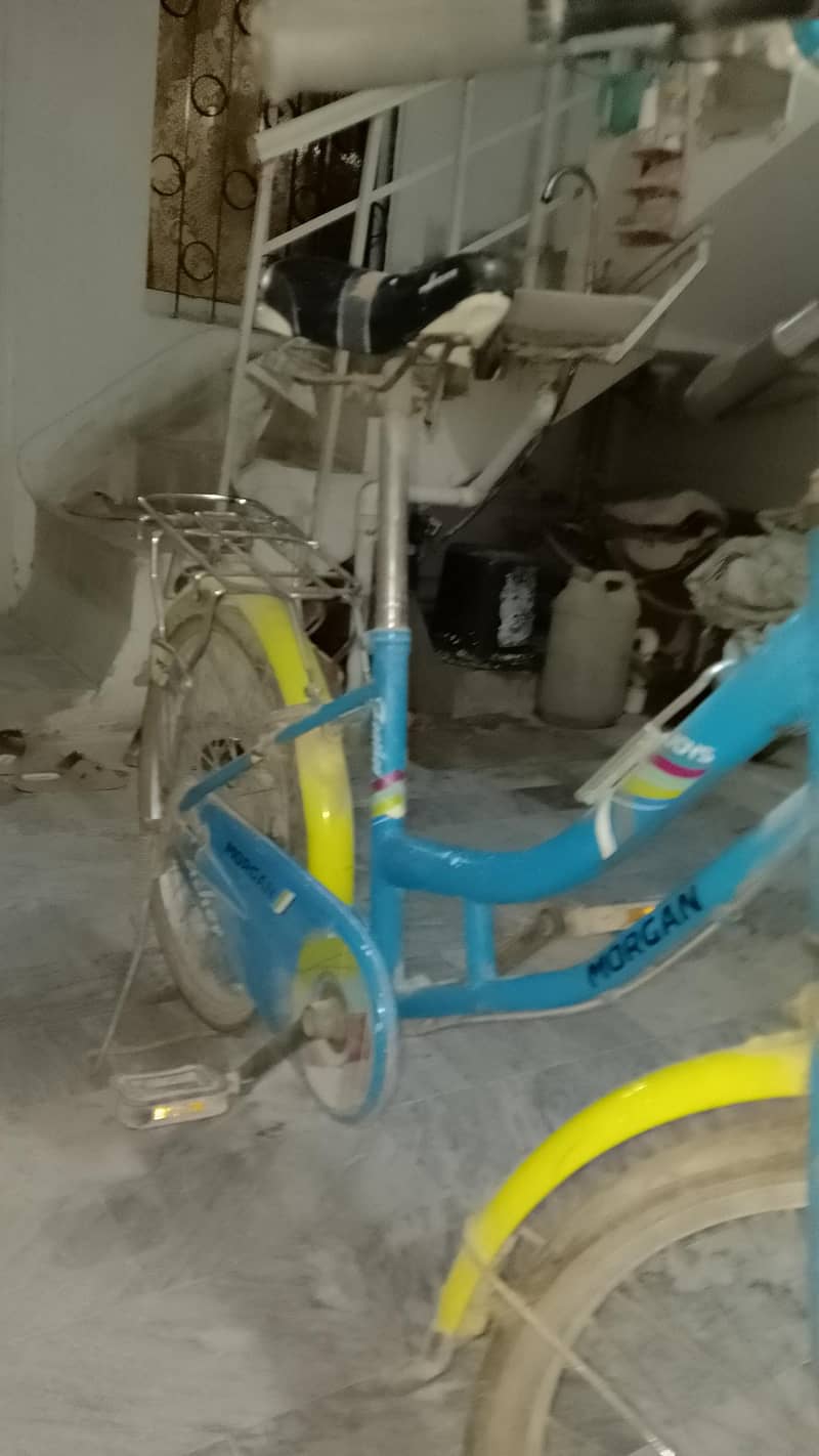 Morgan cycle 1