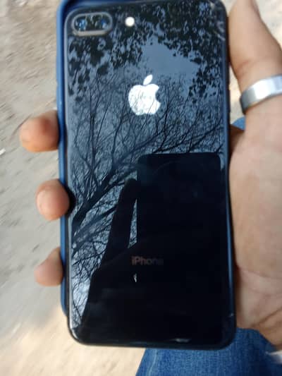 8 plus