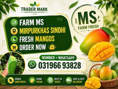 ALL VARIETYS AVAILABLE MANGO ORDER NOW 