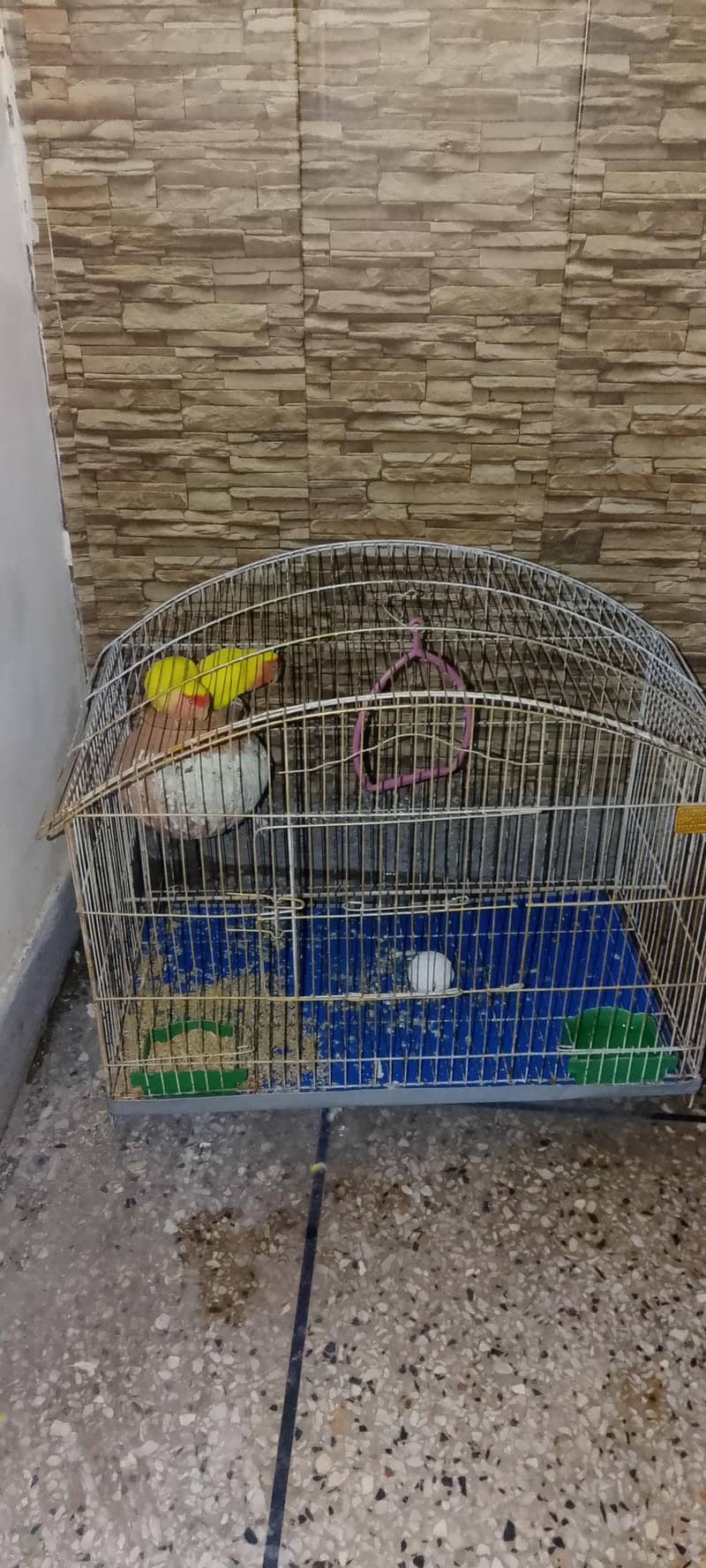 pair with cage 2