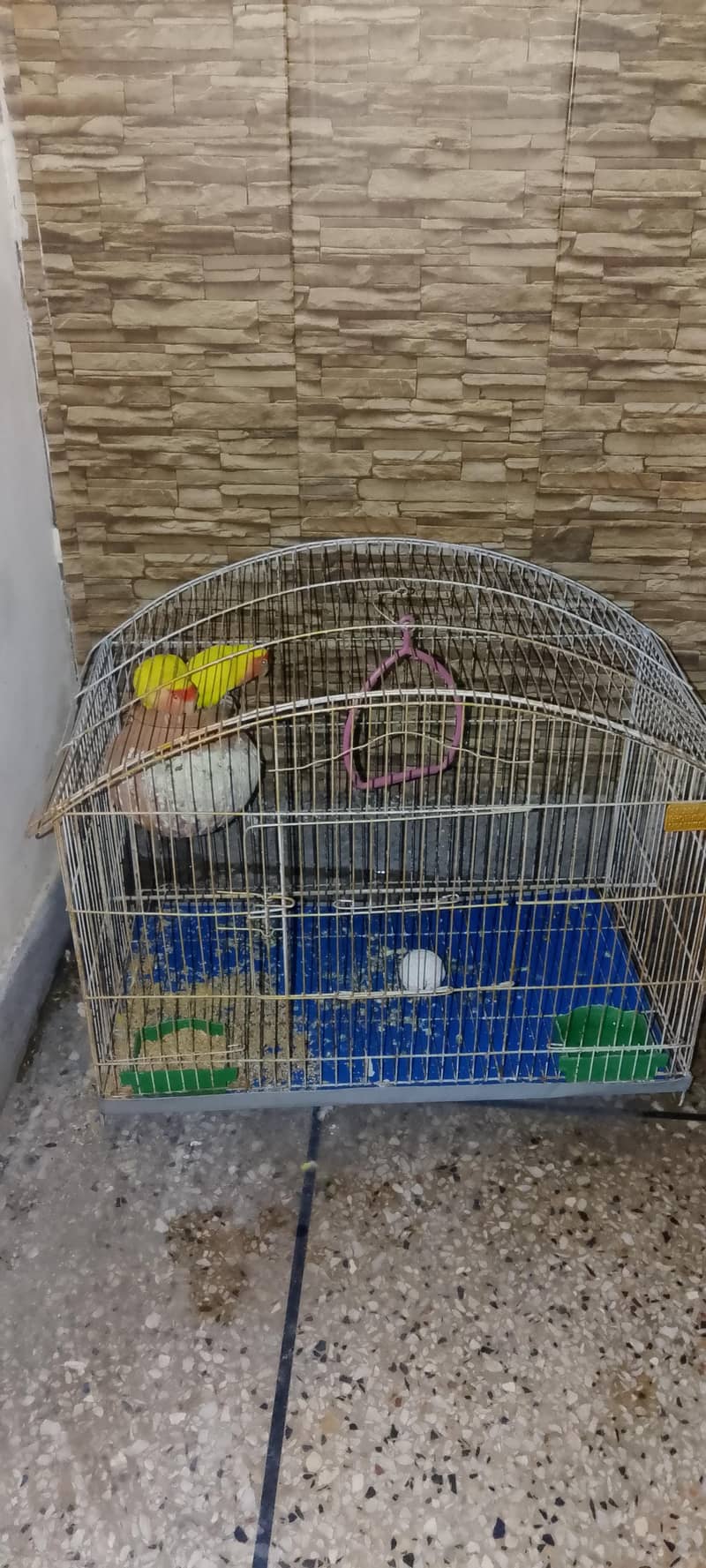 pair with cage 3