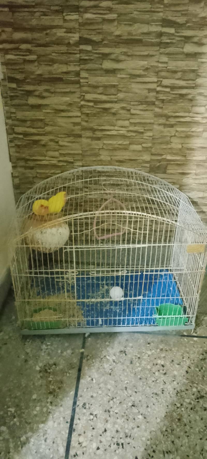 pair with cage 4