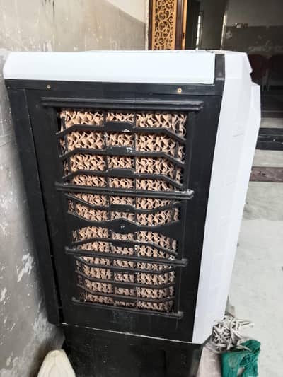 solar cooler