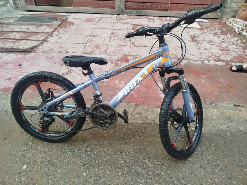 bicycle 0
