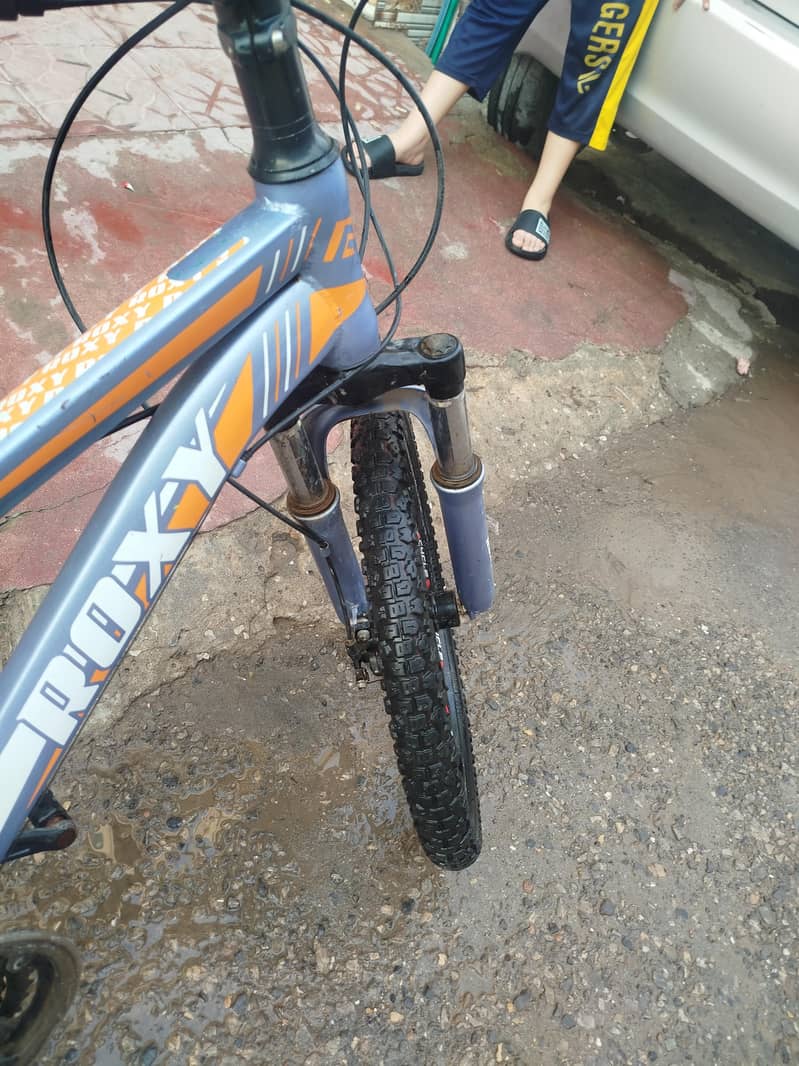 bicycle 2