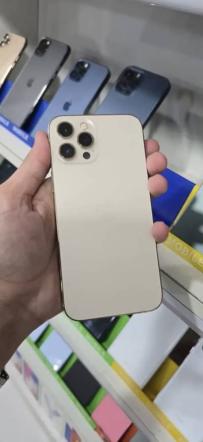 iPhone 12 Pro Max Colour Gold 6_128 Oficial pta Approved