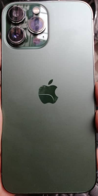 13 pro max