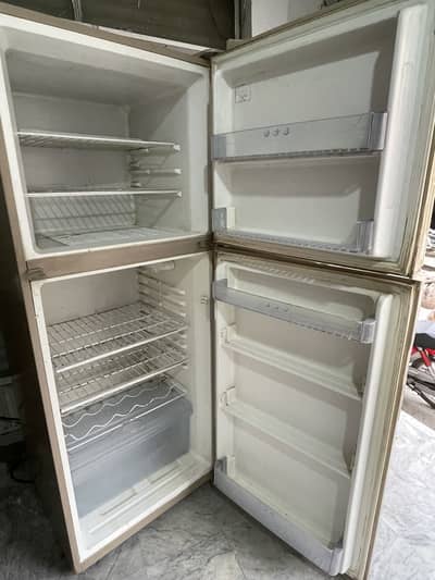 Hair fridge full size