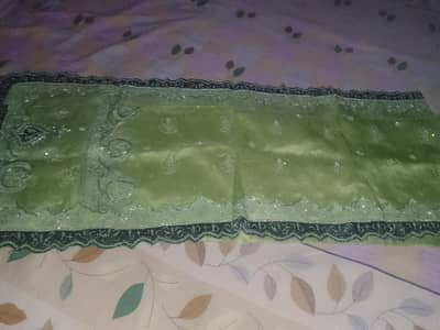 bridal lehnga in pistachio green color