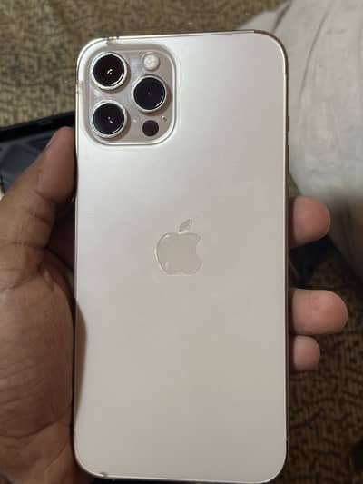 iPhone 12 Pro Max pta approved display and camera msg 10by9