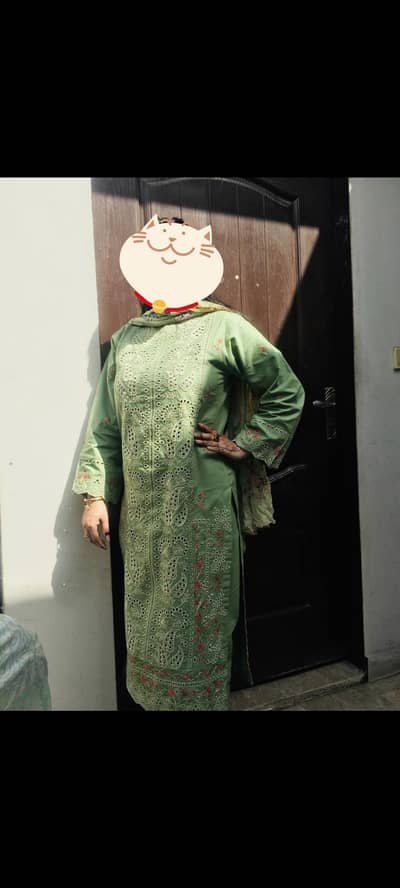 2 piece fully embroidered dress