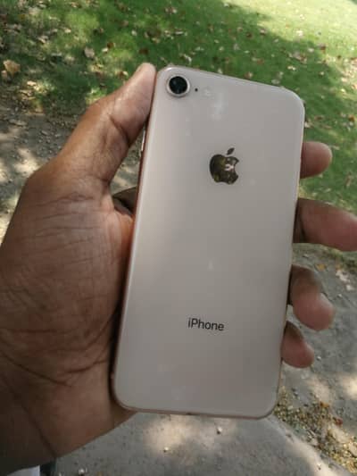 i phone 8 (256b)gb