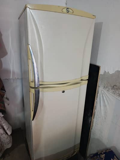 PEL medium size Urgent sale only serious buyer contact me