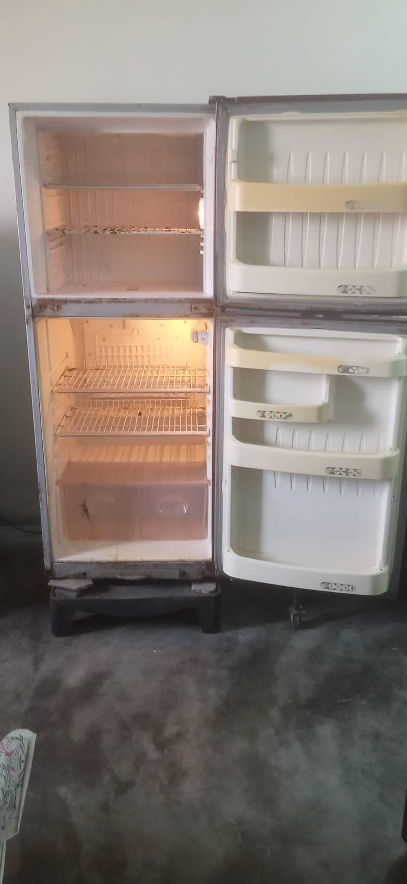 fridge 1