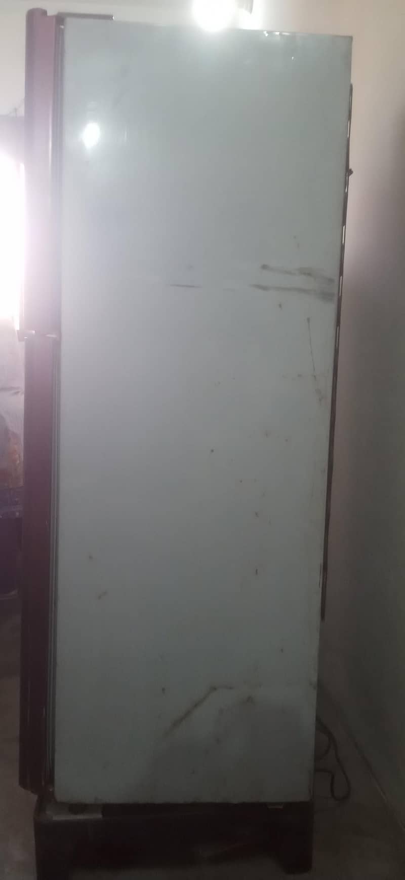 fridge 2