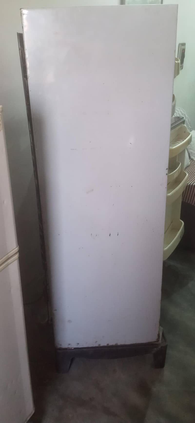 fridge 3