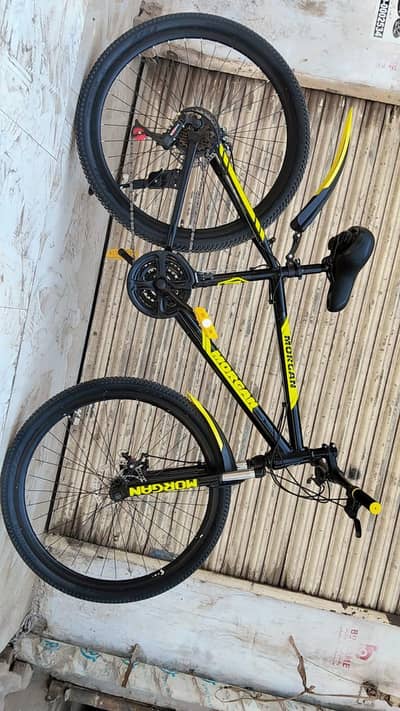 Morgan Bicycle – Excellent Condition – Stylish & Comfortable Ride
