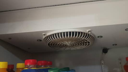 Varioline Intercool  Refrigerator 1000L | Glass Door Fridg