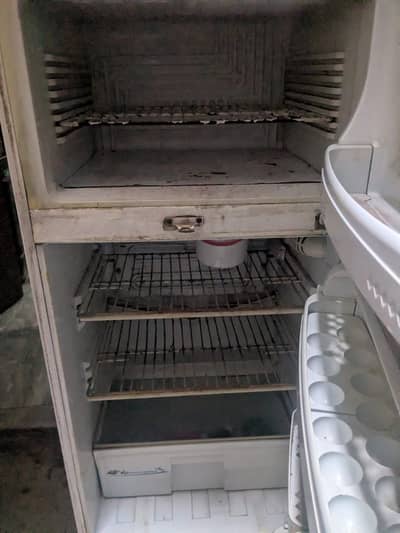 Pel fridge for sale