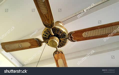 4blade celling Fan safari