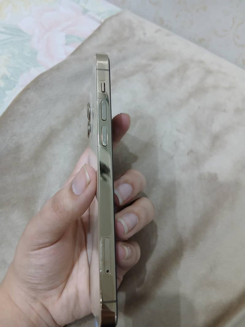 iphone 12 pro 2