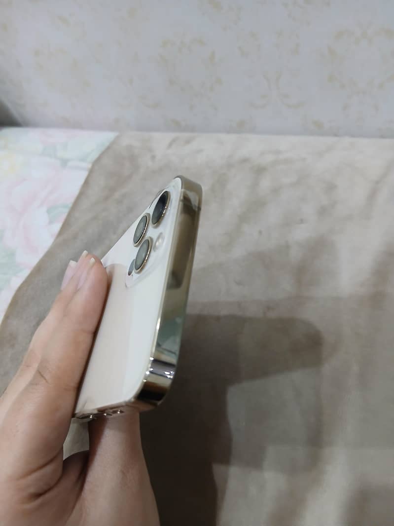 iphone 12 pro 4