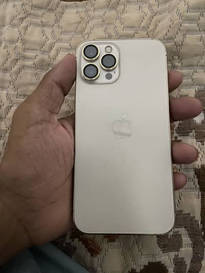 iPhone 12 pro max