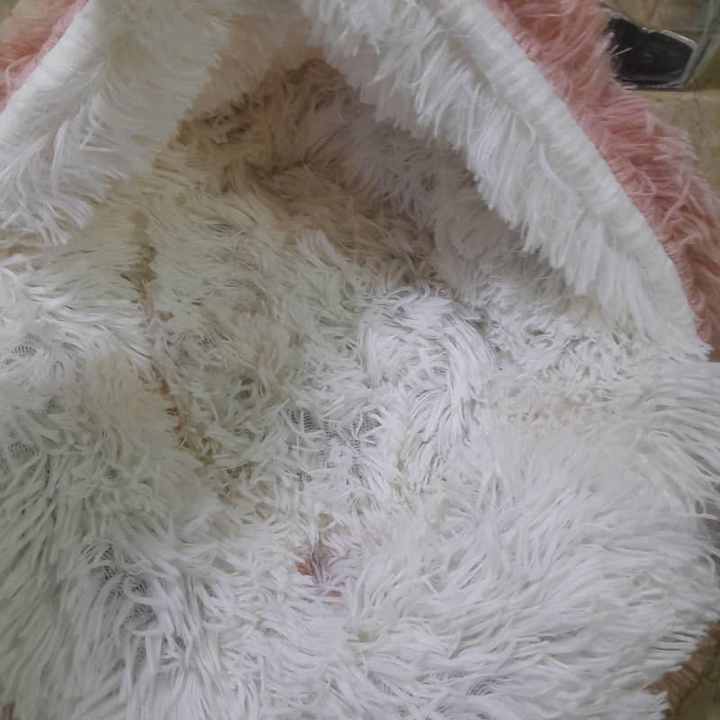 CAT BED 1